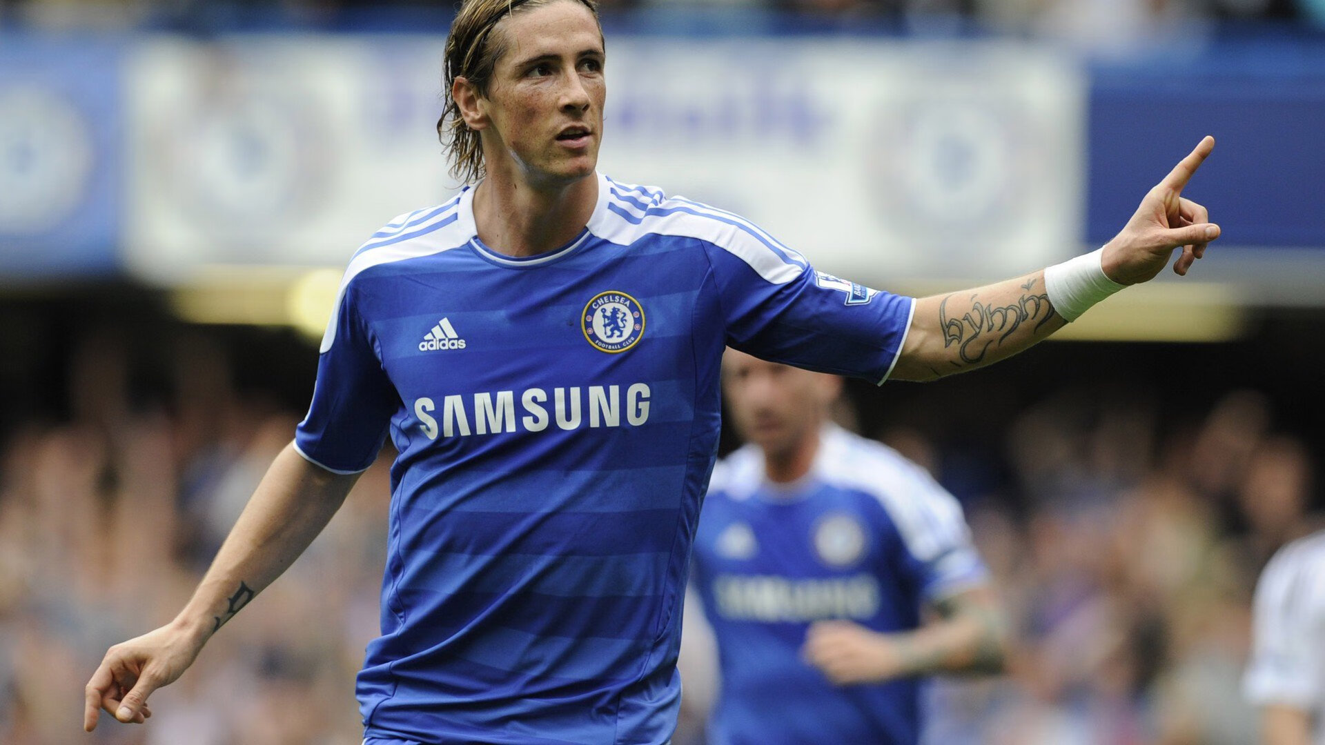 项目布局虽少但质量集中度高，项目布局是什么意思